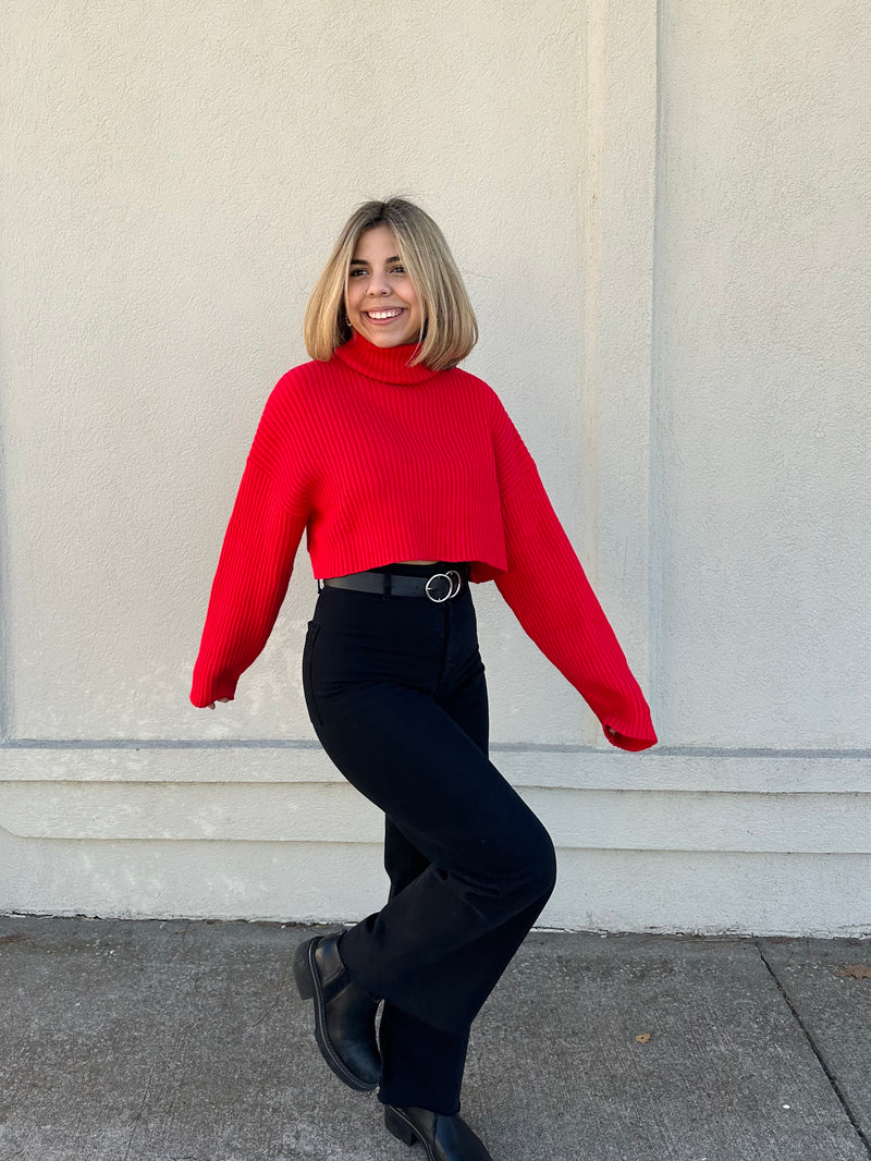 Miko Turtle Neck Cropped Sweater - Red