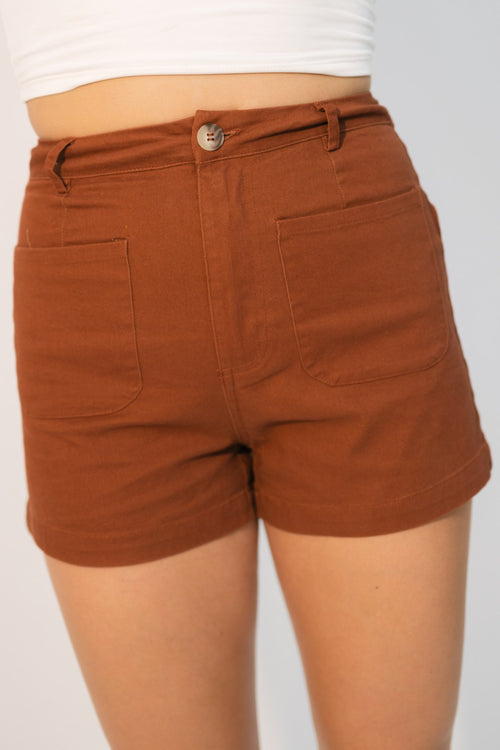 Brown high waisted shorts