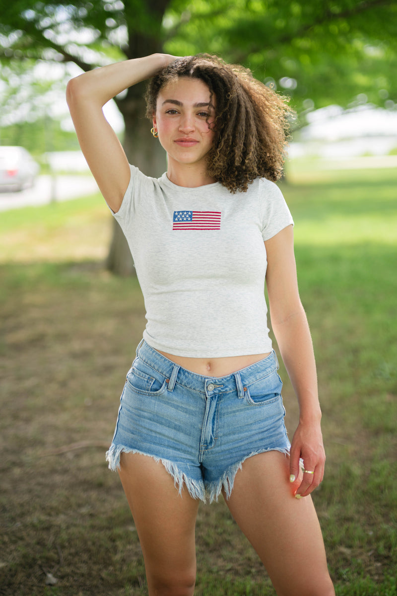 Heathered gray American flag embroidered tee